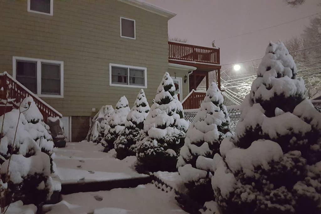 Beautiful Apartment-5 Beds-Full Kitchen-Parking-Super Clean! Boston Exterior foto